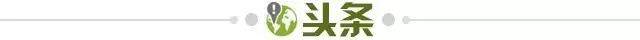 kaiyun-【早报】马铃薯之王！维尔茨变身国家队真大腿！